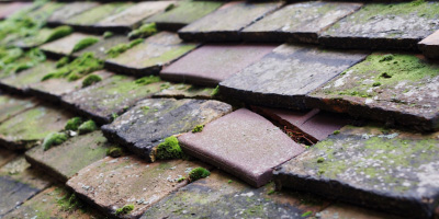 Boars Head roof repair costs